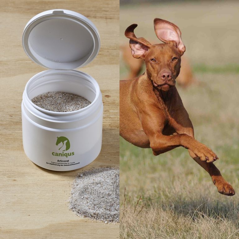 Nahrungsergänzungsmittel Hund Archive Caniqus