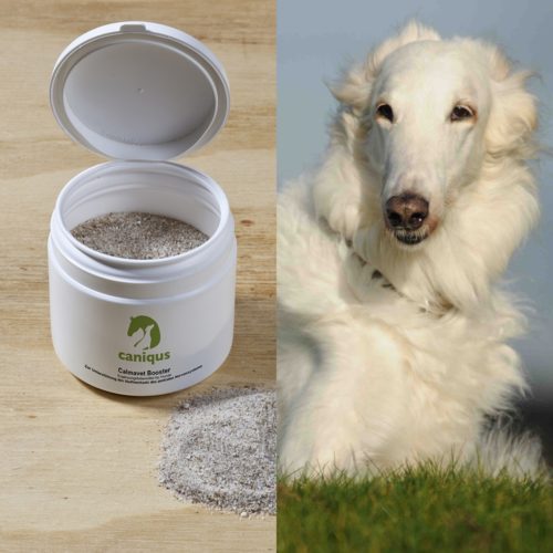 Nahrungsergänzungsmittel Hund Archive Caniqus