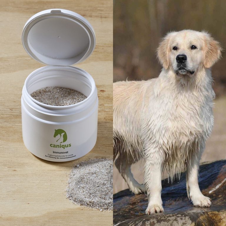 Nahrungsergänzungsmittel Hund Archive Caniqus