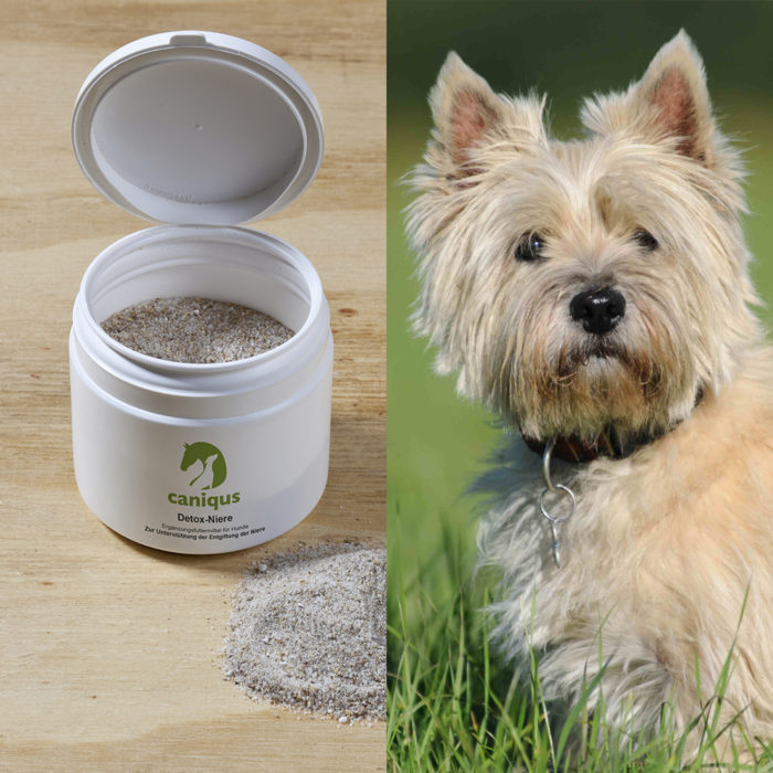 Nahrungsergänzungsmittel Hund Archive Caniqus